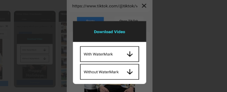 download TikTok videos without watermark