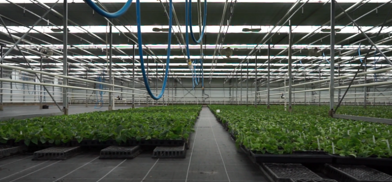 devry greenhouses