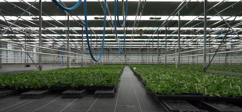 devry greenhouses