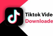 Tiktok Video Downloader