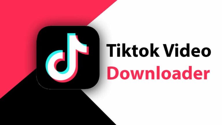 Tiktok Video Downloader