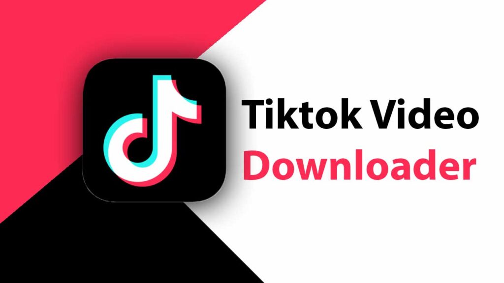 how-to-download-tiktok-videos-on-pc