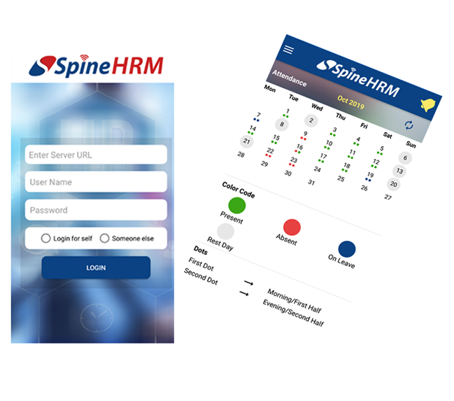 Unlocking Efficiency: The Ultimate Guide to Human Resource Software Selection with SpineHRM
