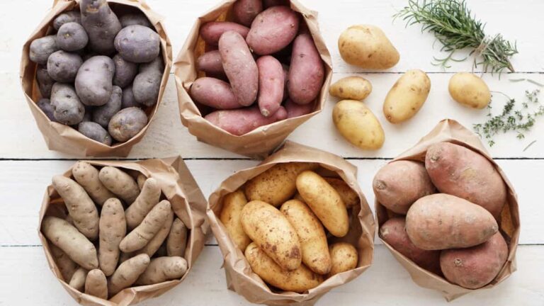 Different Potato Types