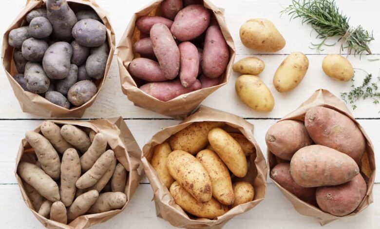 Different Potato Types
