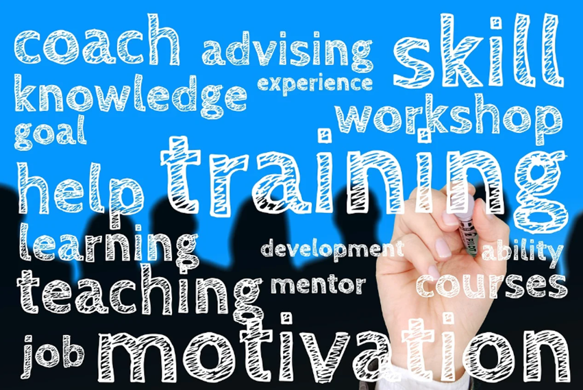 Services to 3 Crowns FZCO