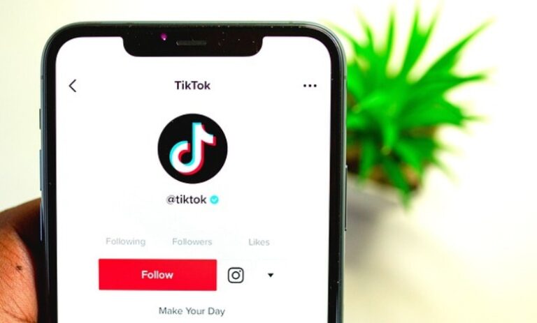 TikTok Analytics Tool