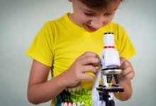 Why Kids Should Own a Microscope