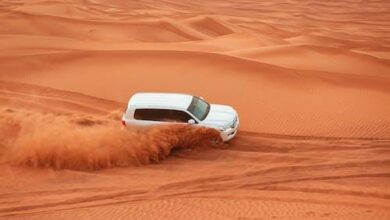 Thrilling Desert Adventure