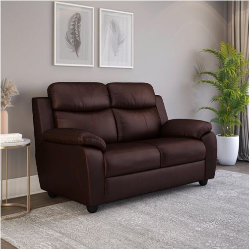 Guide Leather Sofa Purchasing: Making an Informed Selection to Provide Years of Lasting Comfort