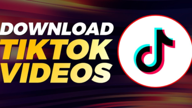 Best TikTok Downloader