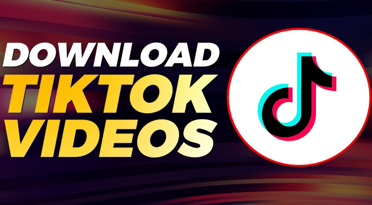 Best TikTok Downloader