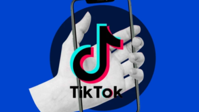 Download TikTok Story