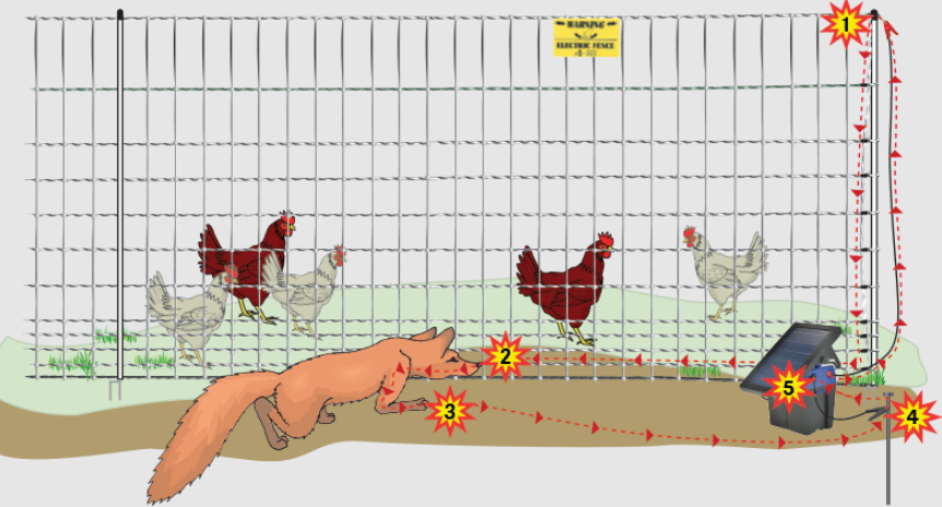 Electric Poultry Netting