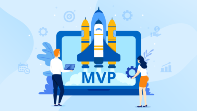 MVP Development Services