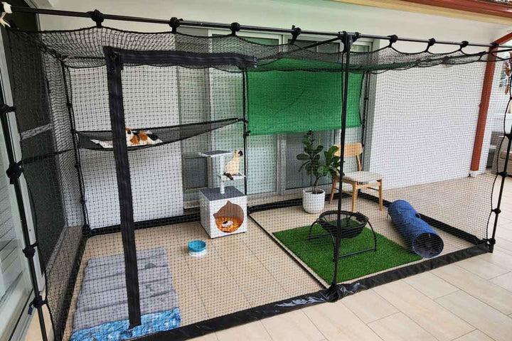 Enhancing Your Feline Friend’s Life: Exploring the Joys of a Catio for Your Pet Cat