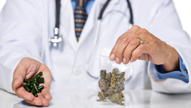 Medical Cannabis Treatment for Elders