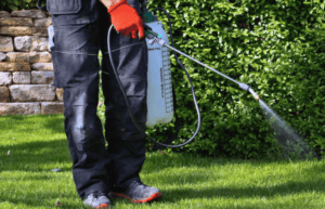 Understanding the Importance of Maryland Pest Control