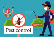 Pest Control in Coral Springs