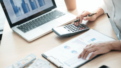 Viteculla Bookkeeping